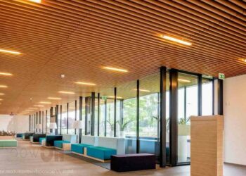 Trần gỗ là gì? Ưu nhược điểm và phân loại trần gỗ