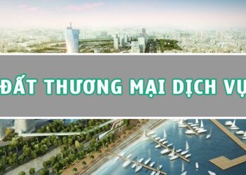 Quy Định Về Đất Thương Mại Dịch Vụ Môi Giới BĐS Cần Biết